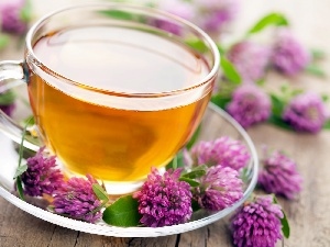 clover, Flowers, cup, blur, tea