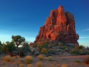 Clumps, trees, viewes, rock, grass, mountains