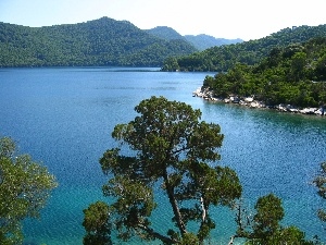 Coartia, woods, lake, Mountains