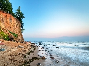 Coast, cliff