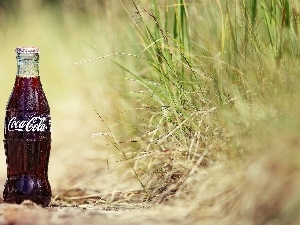 Coca Cola, grass, Bottle