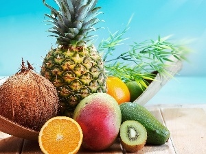 orange, Coconut, kiwi, Fruits, Mango, avocado, ananas