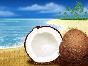 water, Coconut, Beaches