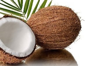 Coconut