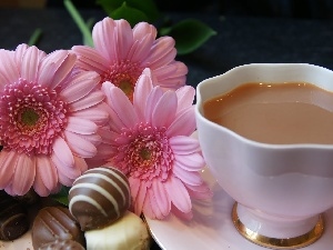 coffee, cup, Pink, Chocolates, gerberas