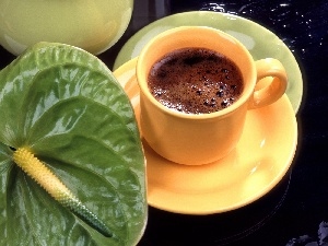 coffee, cup, Anturium, green ones