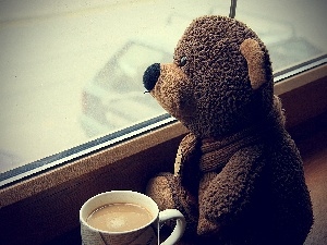 Window, coffee, teddybear