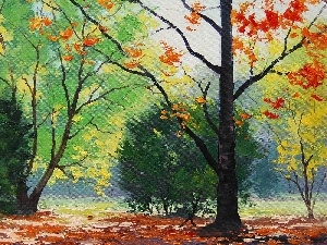 color, green, trees, Leaf, viewes
