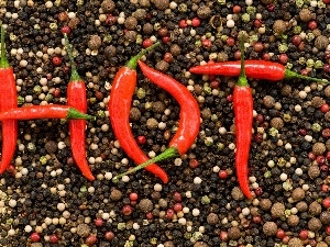 color, Chili, Hot, pepper, pepper