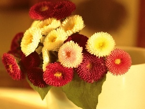 Colorful, Daisies, small bunch