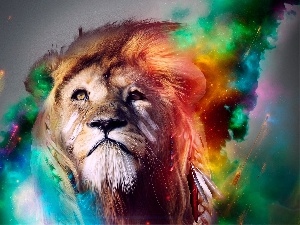 colors, mane, Lion, dispelled