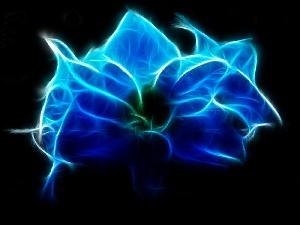Colourfull Flowers, Fraktal, blue