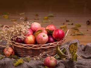 composition, Leaf, apples, basket