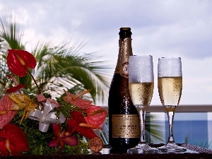 composition, Bouquet of Flowers, Champagne, glasses