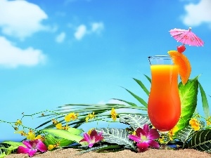 composition, orchids, Orange Juice, Drink, Flowers