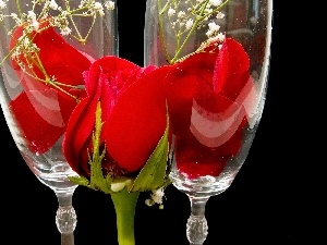 glasses, composition, rose