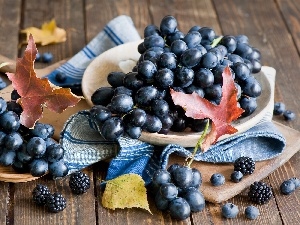 composition, Leaf, grape, blackberries