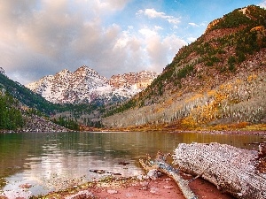 Conifers, trees, viewes, Mountains, Colorado, lake