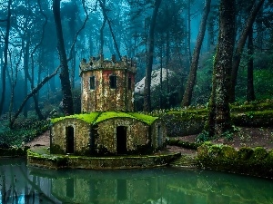 container, building, Park, water, ruins