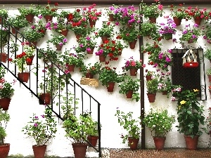 Cordoba, Spain, Festival of Gardens