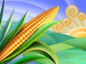 corn-cob, Art, flask