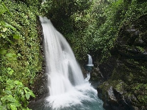Costa Rica, green, waterfall, rocks