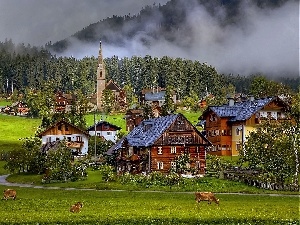 Houses, village, Austria, Cows, Gosau