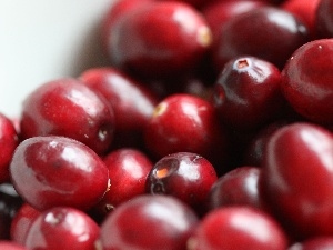 cranberry