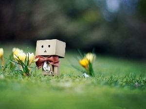 crocuses, Lawn, Spring, Danbo