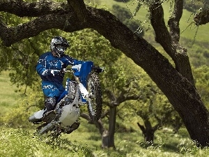 Cross, grass, trees, Motorcyclist, viewes