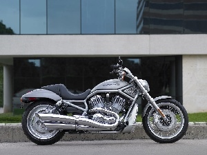 Cruiser, Harley Davidson V-Rod, silver