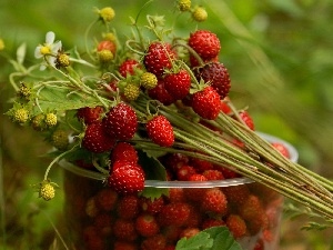 Cup, Strawberries