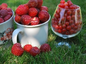Strawberries, currants, raspberries