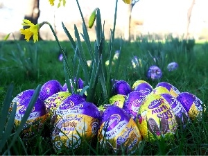 Daffodils, eggs, Easter, chocolate