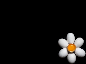 daisy, egg