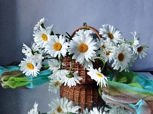White, daisy, basket