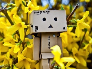 Forsythia, Danbo, Spring