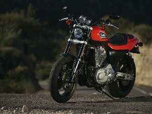 Harley Davidson XR1200