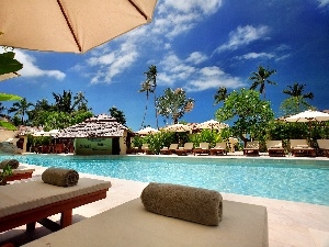 Bar, deck chair, Hotel hall, tropic, Pool