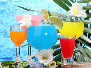 drinks, decor, color