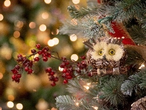 decoration, Plant, trees, Park, owl