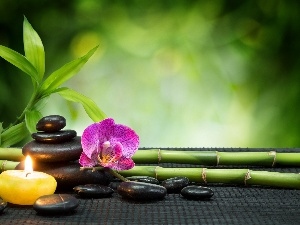 decoration, Green, bamboo, Spa, Stones