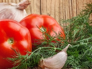 garlic, dill, tomatoes
