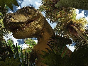 Palms, dinosaur, Teeth