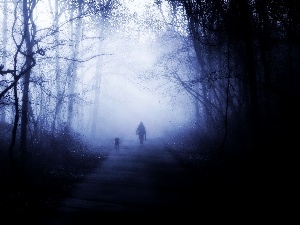 dog, wander, forest, dark, Night