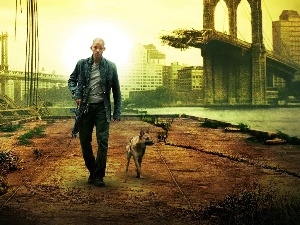 dog, Nowy York, Will Smith, damaged