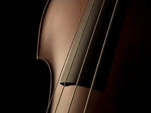 double-bass