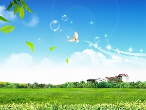 dove, grass, Spring, Green