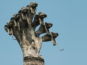 Dragon, Budda, seven-heads