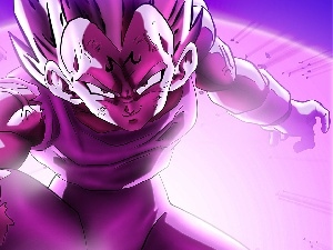 Vegeta, Dragon Ball